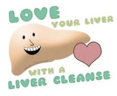 liver